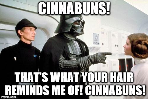 darth vader leia | CINNABUNS! THAT'S WHAT YOUR HAIR REMINDS ME OF! CINNABUNS! | image tagged in darth vader leia | made w/ Imgflip meme maker