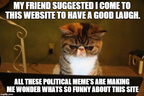 Unimpressed Cat | MY FRIEND SUGGESTED I COME TO THIS WEBSITE TO HAVE A GOOD LAUGH. ALL THESE POLITICAL MEME'S ARE MAKING ME WONDER WHATS SO FUNNY ABOUT THIS SITE | image tagged in unimpressed cat,politics,tags | made w/ Imgflip meme maker