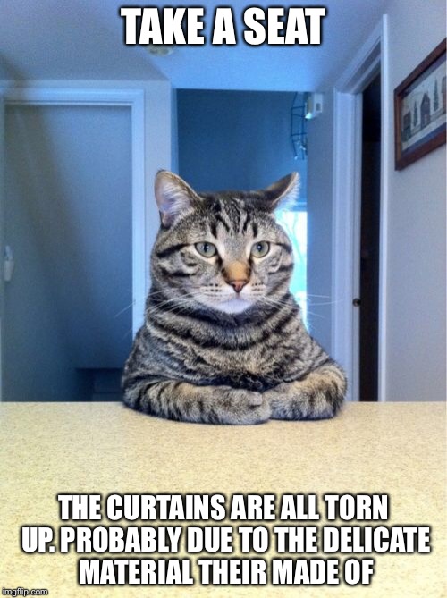 Take A Seat Cat Meme | TAKE A SEAT; THE CURTAINS ARE ALL TORN UP. PROBABLY DUE TO THE DELICATE MATERIAL THEIR MADE OF | image tagged in memes,take a seat cat | made w/ Imgflip meme maker