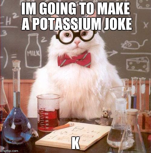 Science Cat | IM GOING TO MAKE A POTASSIUM JOKE; K | image tagged in science cat | made w/ Imgflip meme maker