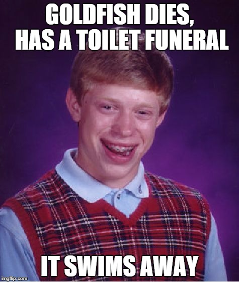 Bad Luck Brian | GOLDFISH DIES, HAS A TOILET FUNERAL; IT SWIMS AWAY | image tagged in memes,bad luck brian | made w/ Imgflip meme maker