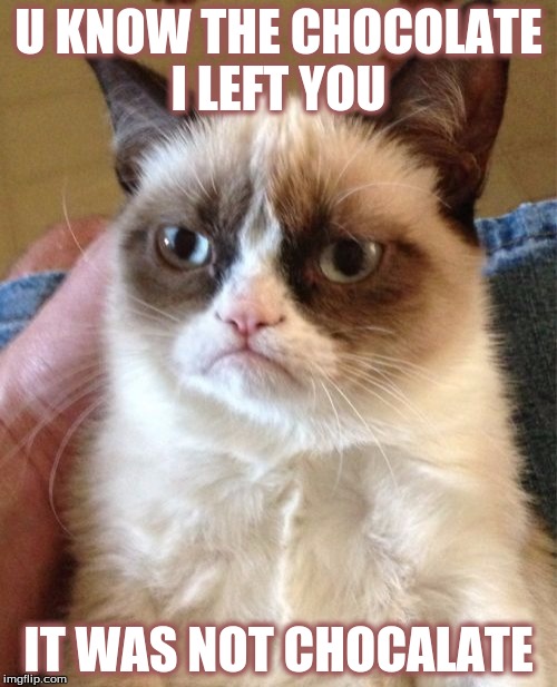 Grumpy Cat | U KNOW THE CHOCOLATE I LEFT YOU; IT WAS NOT CHOCALATE | image tagged in memes,grumpy cat | made w/ Imgflip meme maker