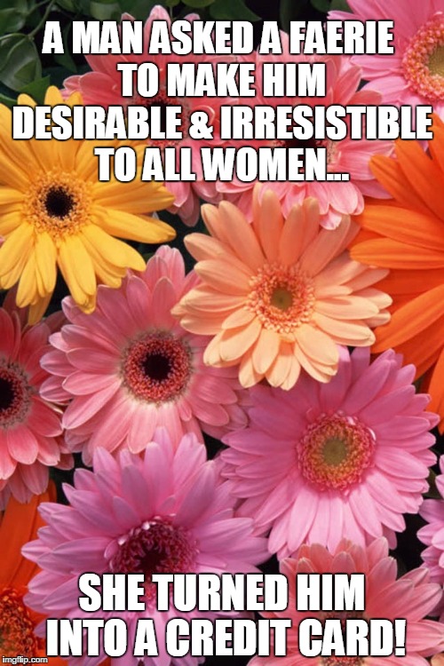 A MAN ASKED A FAERIE TO MAKE HIM DESIRABLE & IRRESISTIBLE TO ALL WOMEN... SHE TURNED HIM INTO A CREDIT CARD! | image tagged in gerber daisies | made w/ Imgflip meme maker