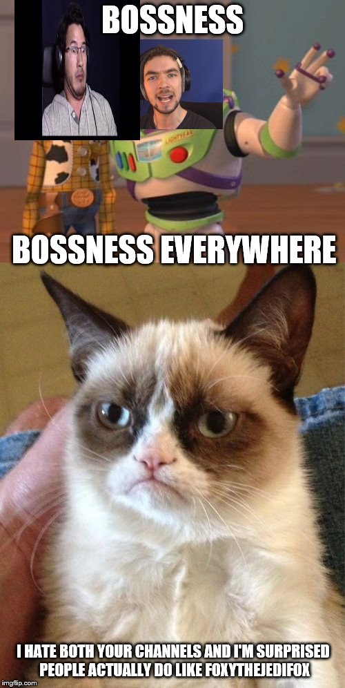 BOSSNESS; BOSSNESS EVERYWHERE; I HATE BOTH YOUR CHANNELS AND I'M SURPRISED PEOPLE ACTUALLY DO LIKE FOXYTHEJEDIFOX | image tagged in x,x x everywhere,markiplier,jacksepticeye,grumpy cat | made w/ Imgflip meme maker