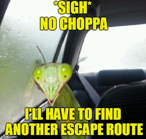 *SIGH* I'LL HAVE TO FIND ANOTHER ESCAPE ROUTE NO CHOPPA | made w/ Imgflip meme maker