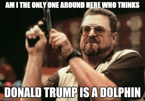 Am I The Only One Around Here | AM I THE ONLY ONE AROUND HERE WHO THINKS; DONALD TRUMP IS A DOLPHIN | image tagged in memes,am i the only one around here | made w/ Imgflip meme maker