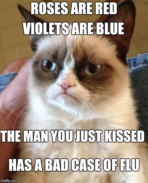 Grumpy Cat | ROSES ARE RED; VIOLETS ARE BLUE; THE MAN YOU JUST KISSED; HAS A BAD CASE OF FLU | image tagged in memes,grumpy cat | made w/ Imgflip meme maker