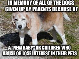 IN MEMORY OF ALL OF THE DOGS GIVEN UP BY PARENTS BECAUSE OF; A "NEW BABY" OR CHILDREN WHO ABUSE OR LOSE INTEREST IN THEIR PETS | image tagged in dogs,baby,parents,homeless pets,shelters | made w/ Imgflip meme maker