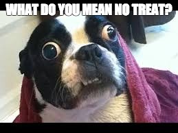 No Treat : His Reaction | WHAT DO YOU MEAN NO TREAT? | made w/ Imgflip meme maker