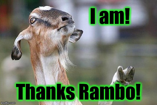 I am! Thanks Rambo! | made w/ Imgflip meme maker