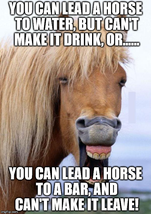 You Can Lead A Horse To Water Meme