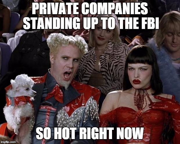 Mugatu So Hot Right Now Meme | PRIVATE COMPANIES STANDING UP TO THE FBI; SO HOT RIGHT NOW | image tagged in memes,mugatu so hot right now | made w/ Imgflip meme maker