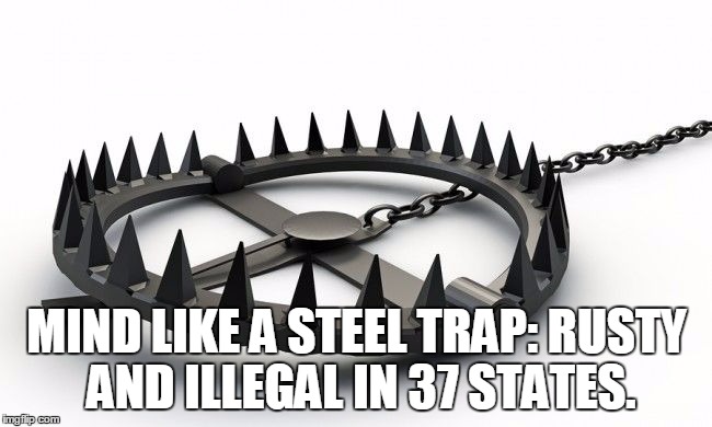 Beartrap | MIND LIKE A STEEL TRAP: RUSTY AND ILLEGAL IN 37 STATES. | image tagged in beartrap | made w/ Imgflip meme maker
