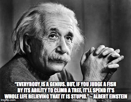 “EVERYBODY IS A GENIUS. BUT, IF YOU JUDGE A FISH BY ITS ABILITY TO CLIMB A TREE, IT’LL SPEND IT’S WHOLE LIFE BELIEVING THAT IT IS STUPID.” – ALBERT EINSTEIN | image tagged in albert einstein,genius | made w/ Imgflip meme maker