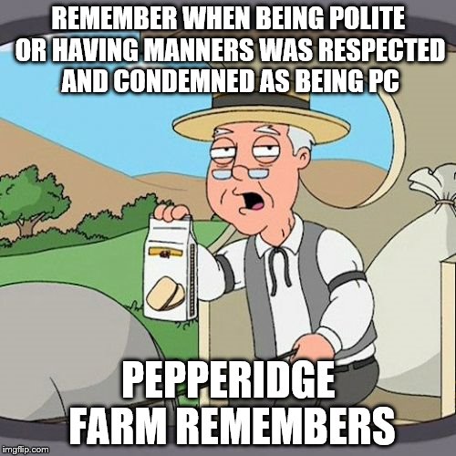 Pepperidge Farm Remembers | REMEMBER WHEN BEING POLITE OR HAVING MANNERS WAS RESPECTED AND CONDEMNED AS BEING PC; PEPPERIDGE FARM REMEMBERS | image tagged in memes,pepperidge farm remembers | made w/ Imgflip meme maker