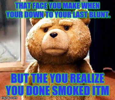 TED | THAT FACE YOU MAKE WHEN YOUR DOWN TO YOUR LAST BLUNT. BUT THE YOU REALIZE YOU DONE SMOKED ITM | image tagged in memes,ted | made w/ Imgflip meme maker