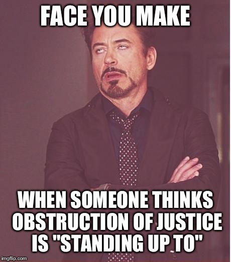 Face You Make Robert Downey Jr Meme | FACE YOU MAKE WHEN SOMEONE THINKS OBSTRUCTION OF JUSTICE IS "STANDING UP TO" | image tagged in memes,face you make robert downey jr | made w/ Imgflip meme maker