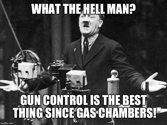 WHAT THE HELL MAN? GUN CONTROL IS THE BEST THING SINCE GAS CHAMBERS! | made w/ Imgflip meme maker