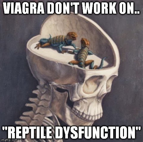 Sometimes the blue pill don't work.  | VIAGRA DON'T WORK ON.. "REPTILE DYSFUNCTION" | image tagged in lizard brain | made w/ Imgflip meme maker