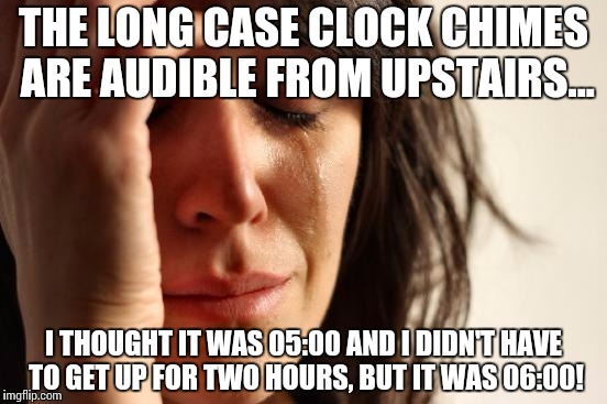 First World Problems Meme | THE LONG CASE CLOCK CHIMES ARE AUDIBLE FROM UPSTAIRS... I THOUGHT IT WAS 05:00 AND I DIDN'T HAVE TO GET UP FOR TWO HOURS, BUT IT WAS 06:00! | image tagged in memes,first world problems | made w/ Imgflip meme maker