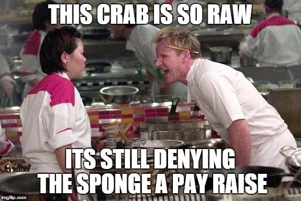 Gordon Ramsey | THIS CRAB IS SO RAW; ITS STILL DENYING THE SPONGE A PAY RAISE | image tagged in gordon ramsey,spongebob,mr krabs | made w/ Imgflip meme maker