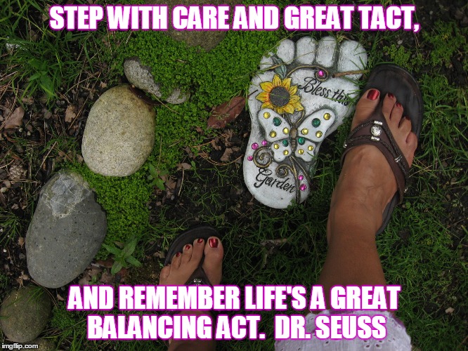 Life balance | STEP WITH CARE AND GREAT TACT, AND REMEMBER LIFE'S A GREAT BALANCING ACT.  DR. SEUSS | image tagged in dr seuss | made w/ Imgflip meme maker