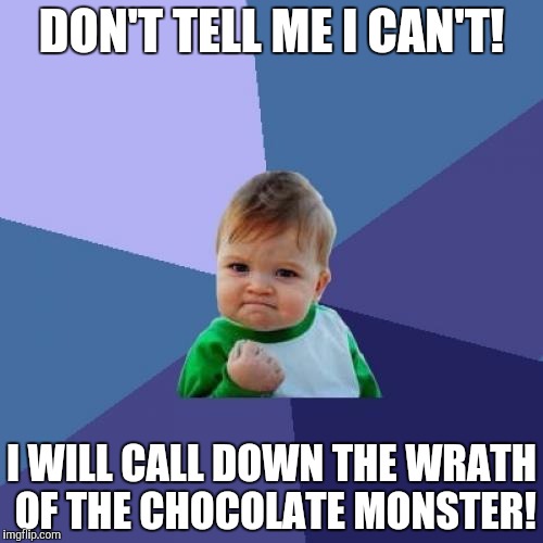 Success Kid Meme | DON'T TELL ME I CAN'T! I WILL CALL DOWN THE WRATH OF THE CHOCOLATE MONSTER! | image tagged in memes,success kid | made w/ Imgflip meme maker