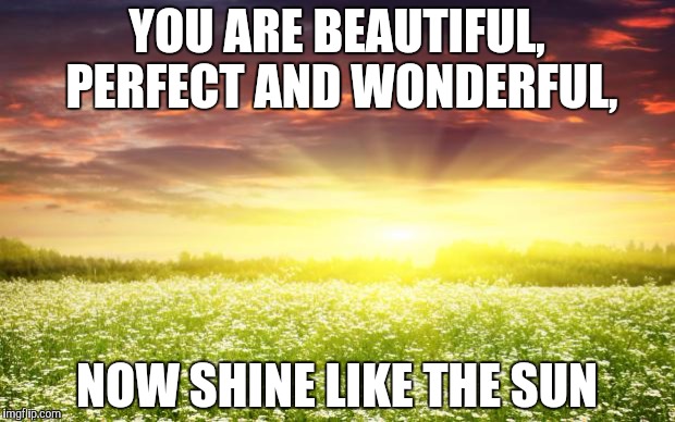 Single is beautiful | YOU ARE BEAUTIFUL, PERFECT AND WONDERFUL, NOW SHINE LIKE THE SUN | image tagged in single is beautiful | made w/ Imgflip meme maker