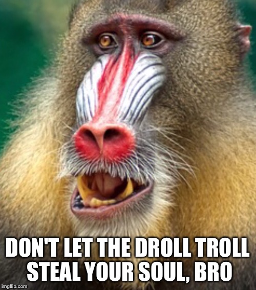 DON'T LET THE DROLL TROLL STEAL YOUR SOUL, BRO | image tagged in colorful baboon | made w/ Imgflip meme maker