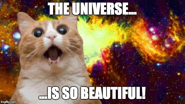 I made this months ago, and I have no Idea why I didn't post it... |  THE UNIVERSE... ...IS SO BEAUTIFUL! | image tagged in cats,universe | made w/ Imgflip meme maker