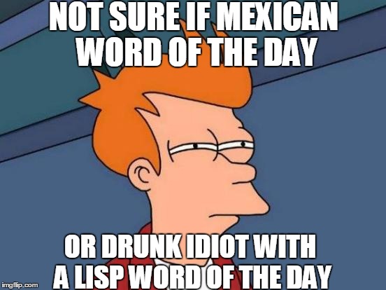 Futurama Fry Meme | NOT SURE IF MEXICAN WORD OF THE DAY OR DRUNK IDIOT WITH A LISP WORD OF THE DAY | image tagged in memes,futurama fry | made w/ Imgflip meme maker