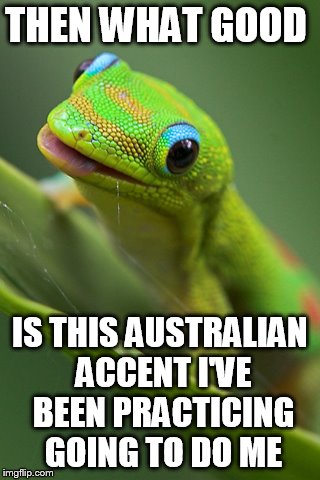 THEN WHAT GOOD IS THIS AUSTRALIAN ACCENT I'VE BEEN PRACTICING GOING TO DO ME | made w/ Imgflip meme maker