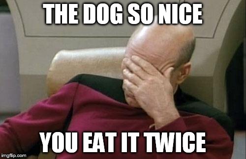 Captain Picard Facepalm Meme | THE DOG SO NICE YOU EAT IT TWICE | image tagged in memes,captain picard facepalm | made w/ Imgflip meme maker