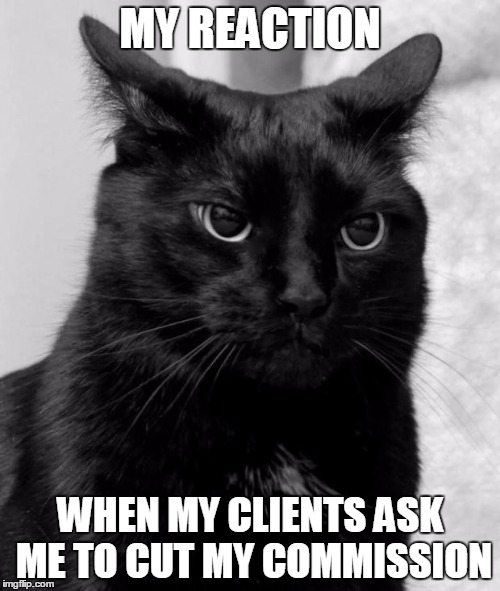 Pissed cat | MY REACTION; WHEN MY CLIENTS ASK ME TO CUT MY COMMISSION | image tagged in pissed cat | made w/ Imgflip meme maker