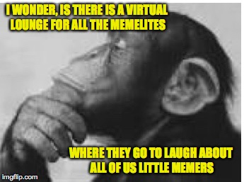 When I ponder | I WONDER, IS THERE IS A VIRTUAL LOUNGE FOR ALL THE MEMELITES; WHERE THEY GO TO LAUGH ABOUT ALL OF US LITTLE MEMERS | image tagged in memes,monkey,thinking | made w/ Imgflip meme maker