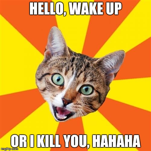 Bad Advice Cat |  HELLO, WAKE UP; OR I KILL YOU, HAHAHA | image tagged in memes,bad advice cat | made w/ Imgflip meme maker