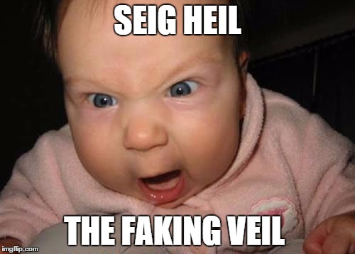 Evil Baby Meme | SEIG HEIL; THE FAKING VEIL | image tagged in memes,evil baby | made w/ Imgflip meme maker