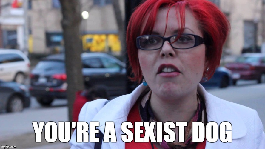 YOU'RE A SEXIST DOG | made w/ Imgflip meme maker