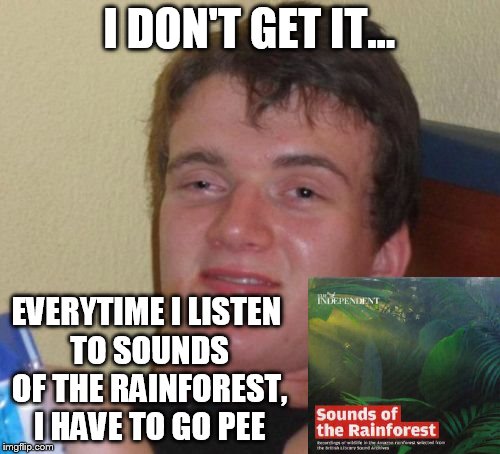 10 Guy Meme | I DON'T GET IT... EVERYTIME I LISTEN TO SOUNDS OF THE RAINFOREST, I HAVE TO GO PEE | image tagged in memes,10 guy | made w/ Imgflip meme maker