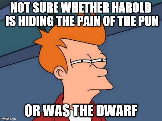 Futurama Fry Meme | NOT SURE WHETHER HAROLD IS HIDING THE PAIN OF THE PUN OR WAS THE DWARF | image tagged in memes,futurama fry | made w/ Imgflip meme maker