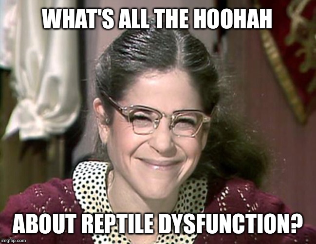 WHAT'S ALL THE HOOHAH ABOUT REPTILE DYSFUNCTION? | made w/ Imgflip meme maker