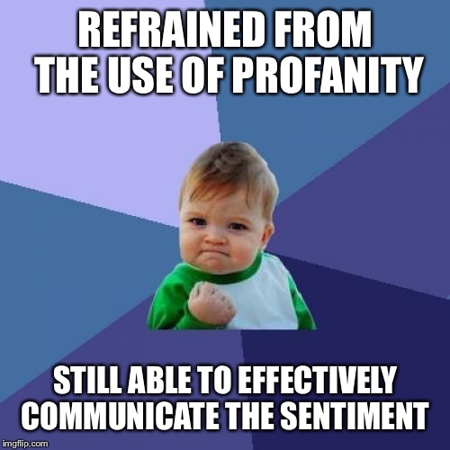 Success Kid | REFRAINED FROM THE USE OF PROFANITY; STILL ABLE TO EFFECTIVELY COMMUNICATE THE SENTIMENT | image tagged in memes,success kid,profanity,potty mouth | made w/ Imgflip meme maker