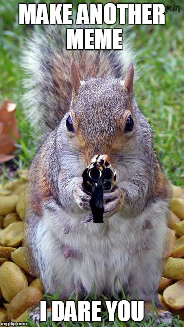 Angry Squirrels  | MAKE ANOTHER MEME; I DARE YOU | image tagged in funny squirrels with guns 5 | made w/ Imgflip meme maker