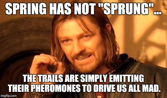 One Does Not Simply Meme | SPRING HAS NOT "SPRUNG"... THE TRAILS ARE SIMPLY EMITTING THEIR PHEROMONES TO DRIVE US ALL MAD. | image tagged in memes,one does not simply | made w/ Imgflip meme maker
