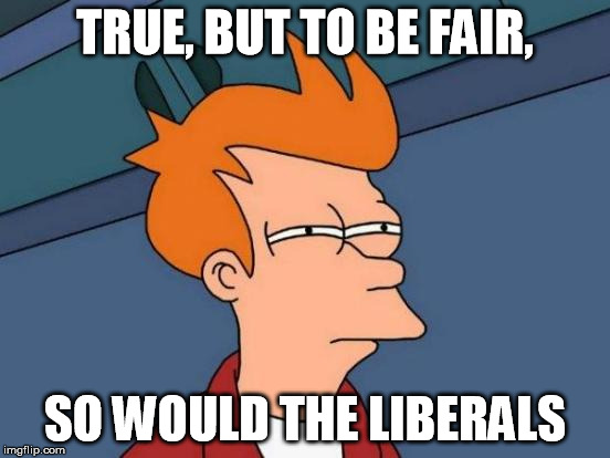 Futurama Fry Meme | TRUE, BUT TO BE FAIR, SO WOULD THE LIBERALS | image tagged in memes,futurama fry | made w/ Imgflip meme maker