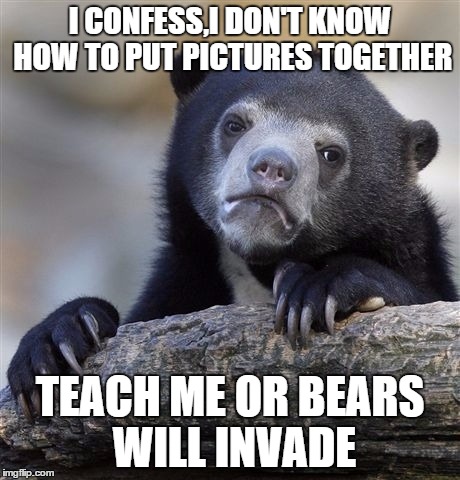 Confession Bear | I CONFESS,I DON'T KNOW HOW TO PUT PICTURES TOGETHER; TEACH ME OR BEARS WILL INVADE | image tagged in memes,confession bear | made w/ Imgflip meme maker