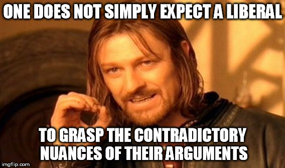 One Does Not Simply Meme | ONE DOES NOT SIMPLY EXPECT A LIBERAL TO GRASP THE CONTRADICTORY NUANCES OF THEIR ARGUMENTS | image tagged in memes,one does not simply | made w/ Imgflip meme maker