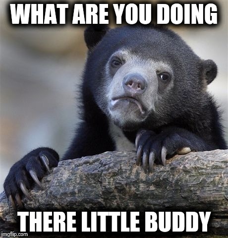 Confession Bear | WHAT ARE YOU DOING; THERE LITTLE BUDDY | image tagged in memes,confession bear | made w/ Imgflip meme maker
