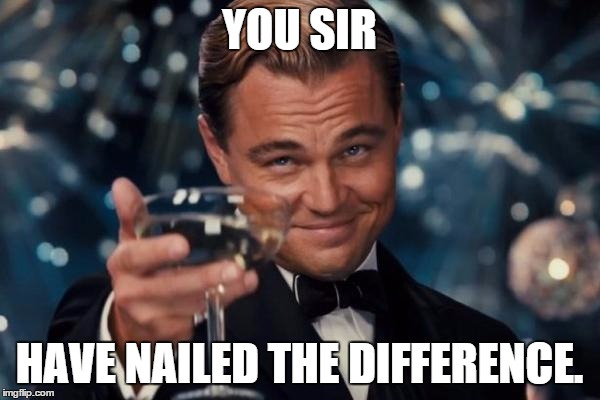 Leonardo Dicaprio Cheers Meme | YOU SIR HAVE NAILED THE DIFFERENCE. | image tagged in memes,leonardo dicaprio cheers | made w/ Imgflip meme maker