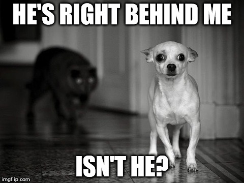 HE'S RIGHT BEHIND ME ISN'T HE? | made w/ Imgflip meme maker
